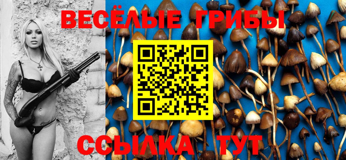 Галлюциногенные грибы GOLDEN TEACHER  Псилоцибиновые грибы прущие грибы  Вход с VPN  Павловский Посад 